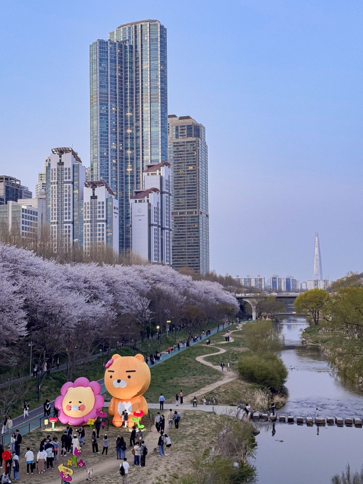  2025 양재천 벚꽃등축제, 벚꽃이 지기 직전 갔다 온 후기(핑크해치, 라춘봄배달 포토존 위치)