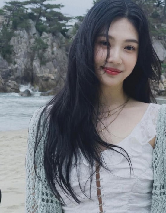레드벨벳 조이의 나이, 성형, 남자친구 크러쉬와 나혼산 일상까지! 모든 정보 총정리!