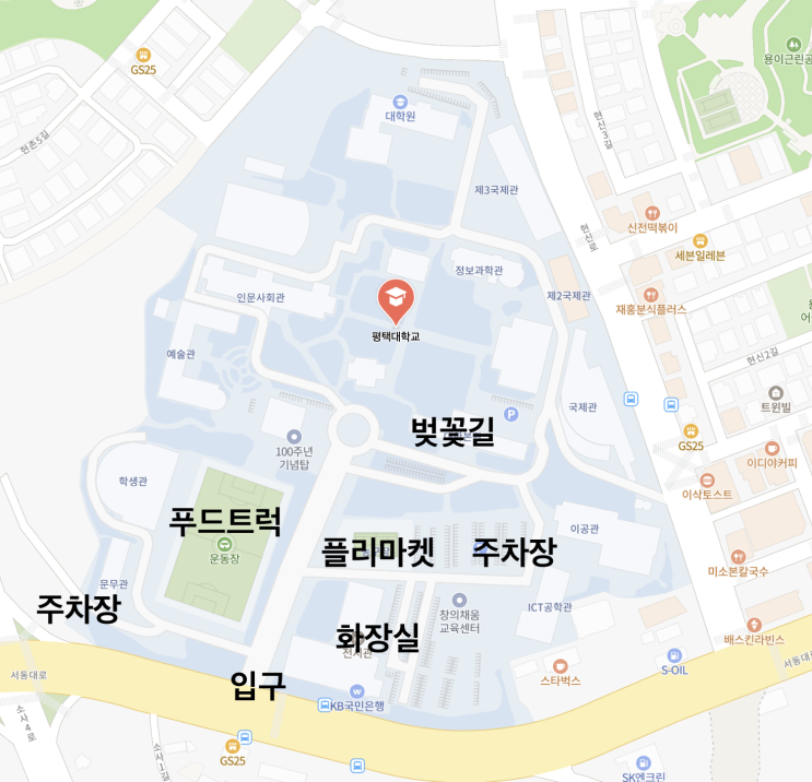  평택 근처 평택대 벚꽃 코스 산책 조명 있어서 야간 데이트도 가능! 벚꽃 개화 상태