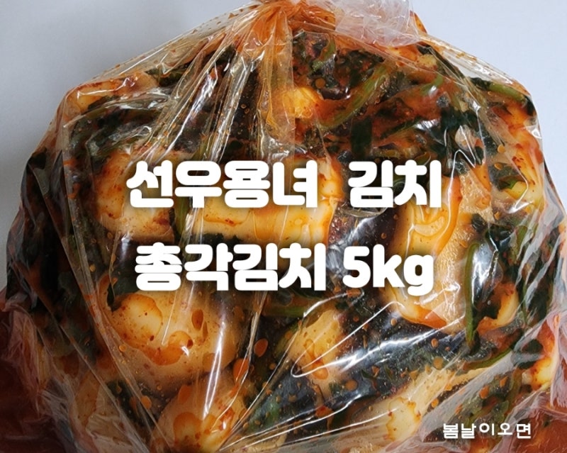 선우용녀 마음담은 총각 김치 5kg 맛있는 김치 추천