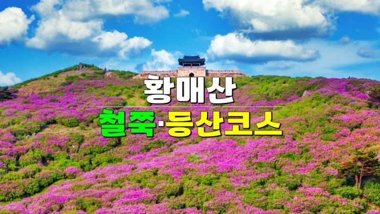 경남 5월 축제 가볼만한곳 · 2025 산청 황매산 철쭉제 기본정보 개화시기 실시간cctv 등산 코스 경남 5월 축제 가볼만한곳 · 2025 산청 황매산 철쭉제 기본정보 개화시기 실시간cctv 등산 코스