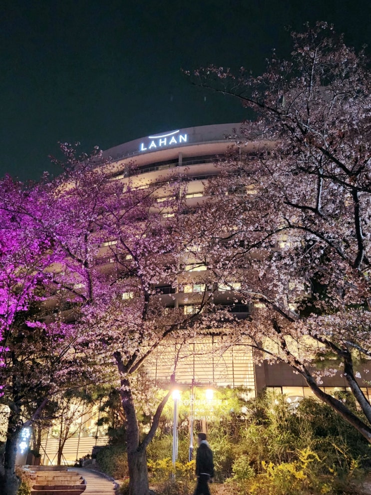  라한셀렉트 경주 후기(호수뷰, 조식, 맛집)_  경주보문단지호텔
