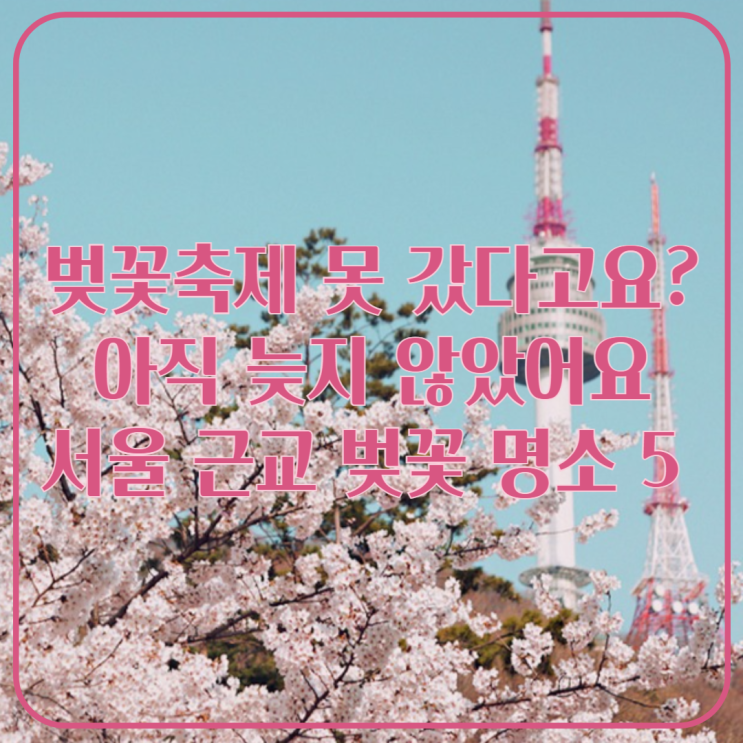  벚꽃축제 놓쳤다면?아직 늦지 않았어요서울 근교 벚꽃 명소 BEST 5