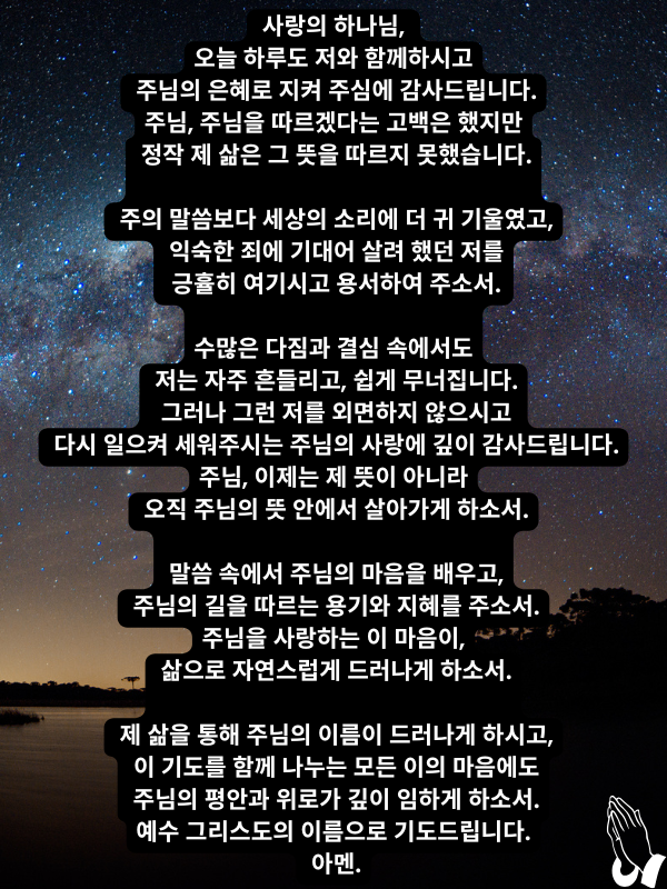  넘어짐 속에서도 주님을 향합니다