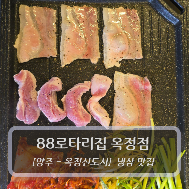  양주 옥정냉삼 맛집 :: 88로타리집 옥정점 후기
