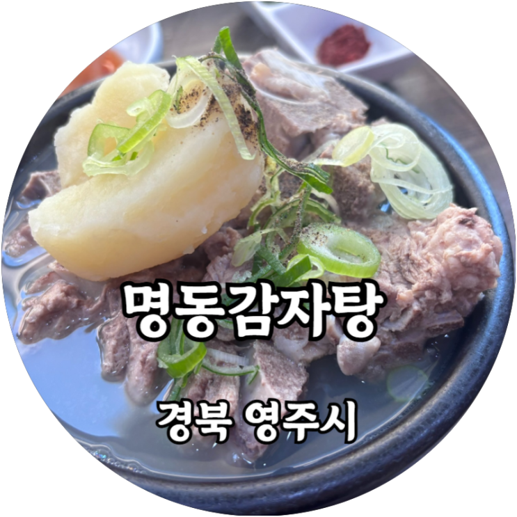 나의 또간집 영주 맛집 추천! 명동감자탕 하얀감자탕