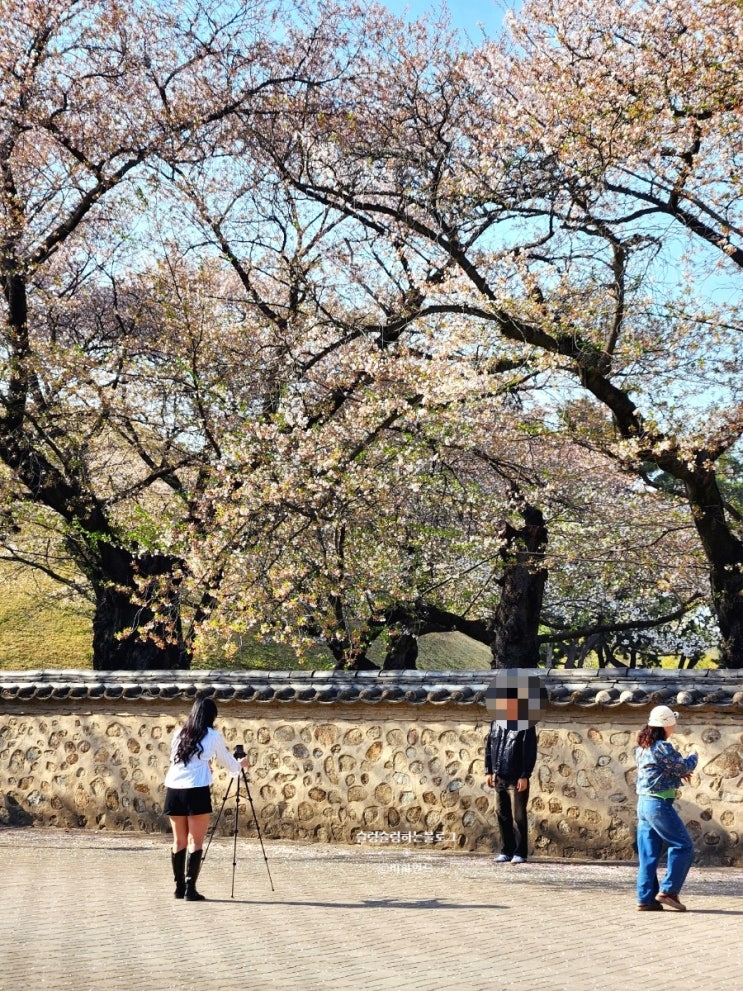 경주여행 경주 가볼만한곳 _ 대릉원, 황리단길, 십원빵