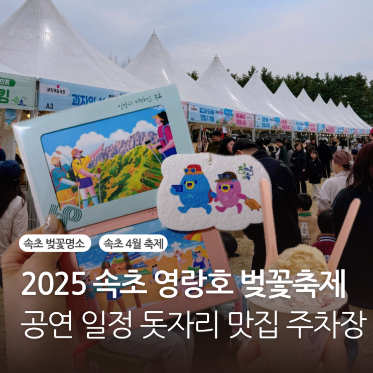  2025 영랑호 벚꽃축제 공연 돗자리 맛집 일정 주차장 후기