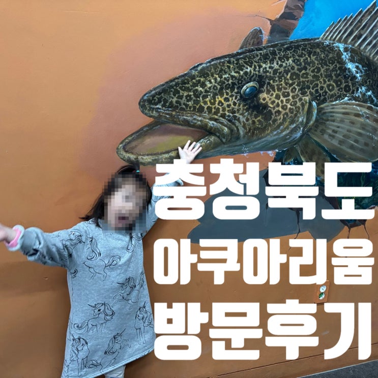  아이들과 함께, 충북아쿠아리움 방문 후기: 실내가볼만한 곳 추천