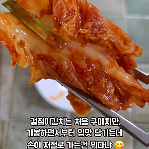 전라도 배추김치 겉절이 금방 담아 보내주는 가휴 드셔보셨나요? 겉절이양념이 전라도맛