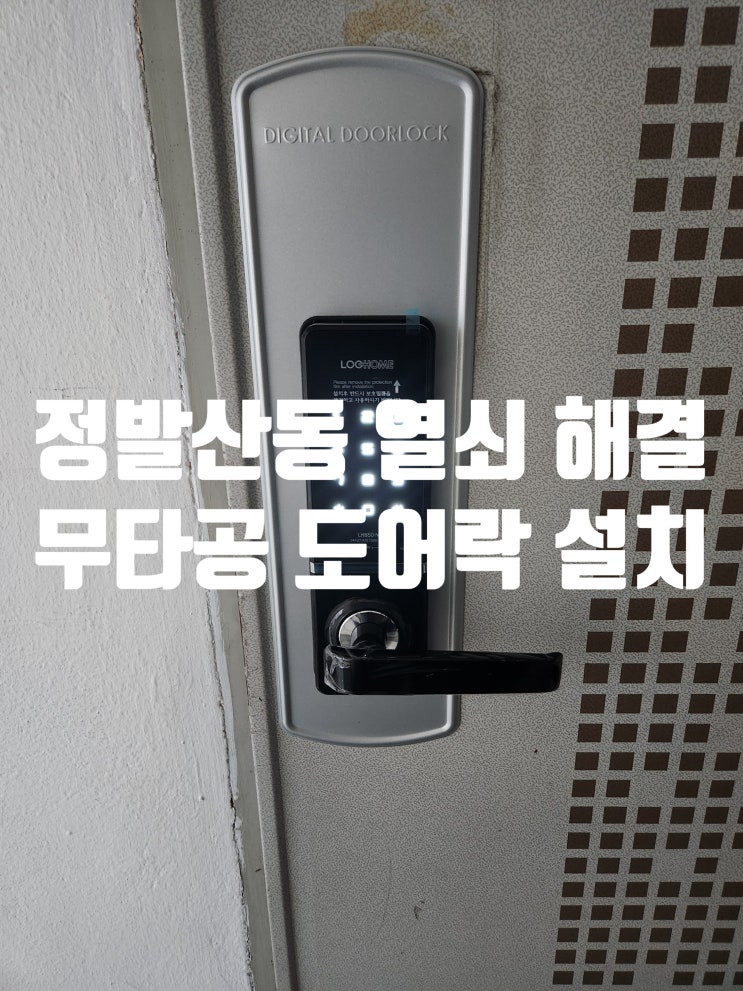  정발산동 열쇠 문제 해결 출장 현관문 레버형 무타공 도어락 추천 설치 일산동구