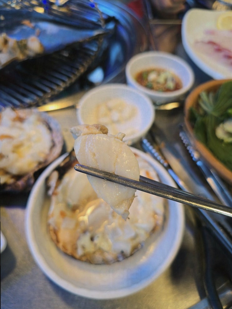  [맛집리뷰] 황금조개구이횟집 해운대점, 해운대 조개구이 맛집에서 즐기는 신선한 해물