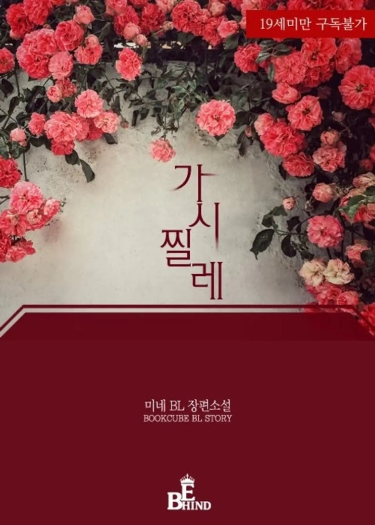 BL소설 리뷰) 미네-가시찔레 BL소설 리뷰) 미네-가시찔레