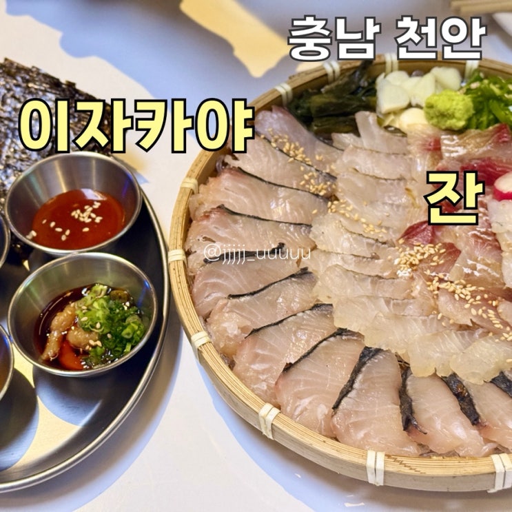  불당동 이자카야 숙성회 맛집 잔 내돈내산 솔직후기