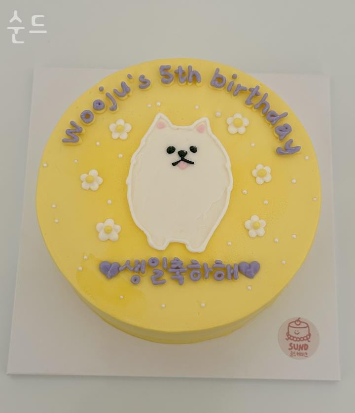 순드 사진 5
