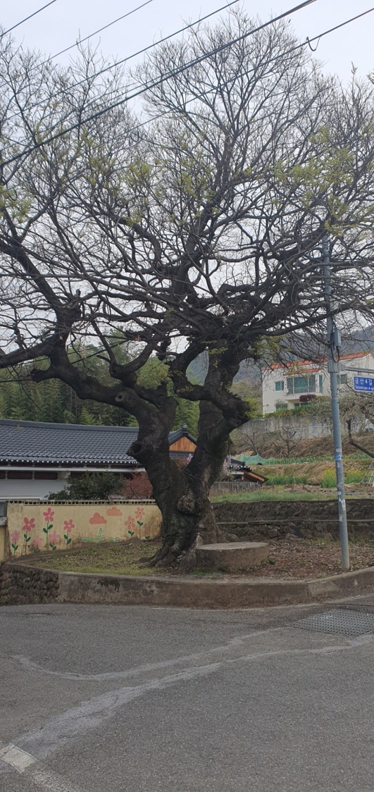 <b>봄비</b>내리는 <b>주말</b> 저녁
