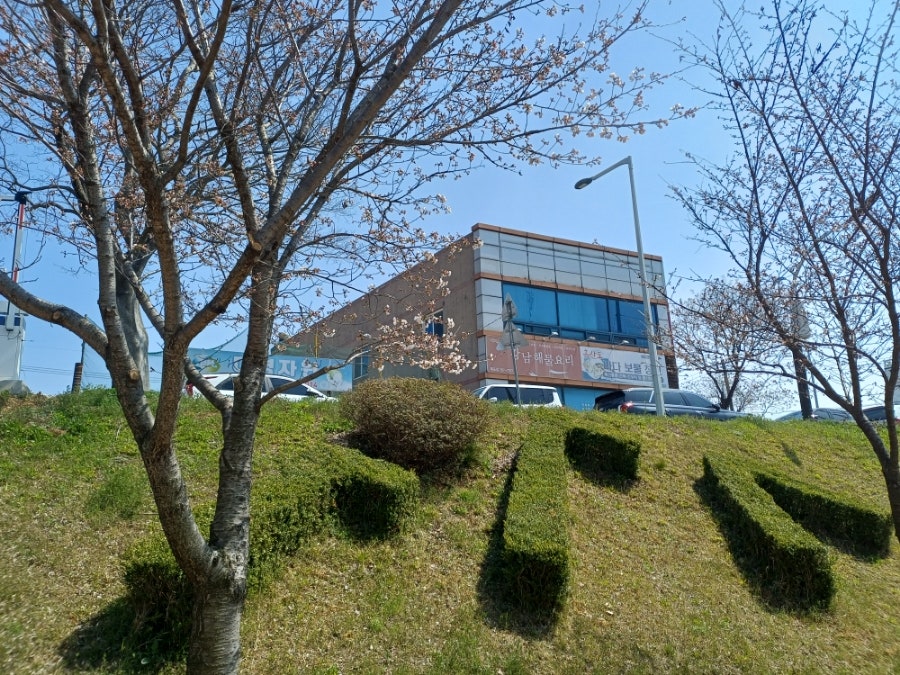 김영희강남동태찜 목포점 사진 1