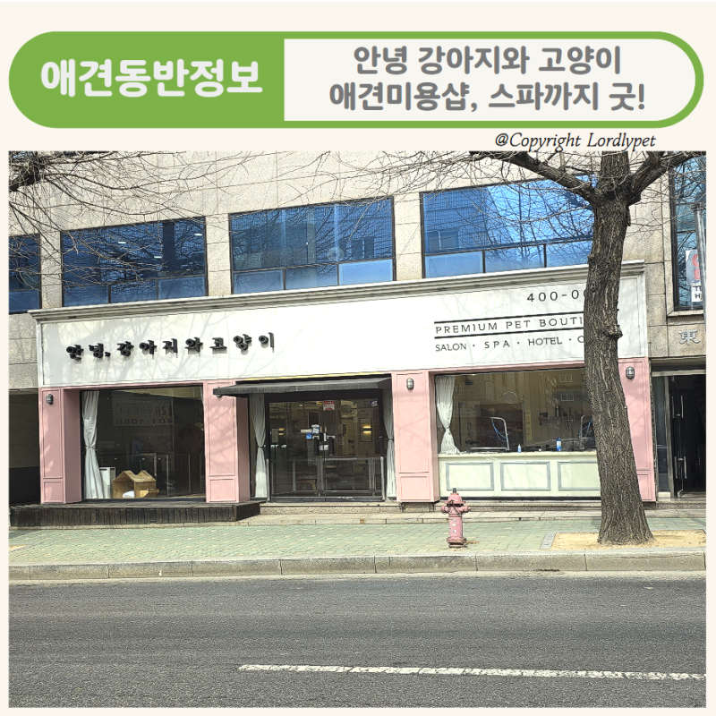 사진 5