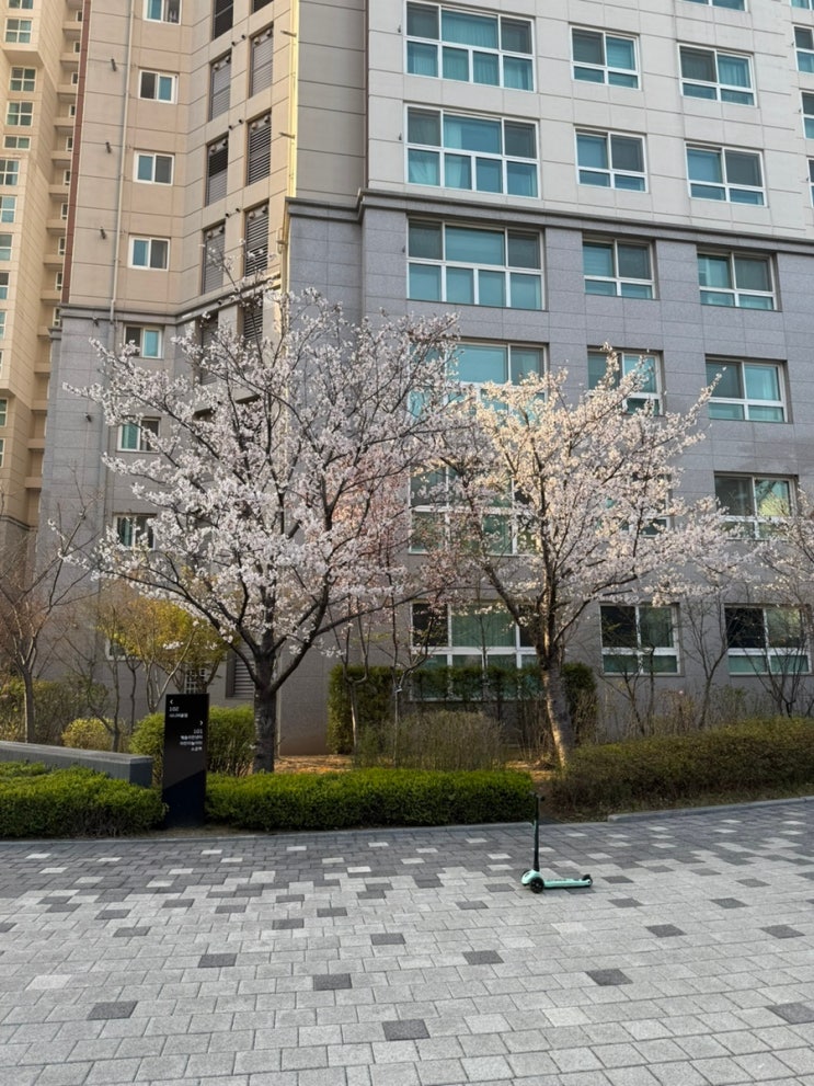  [개인사업자 세무기장] 3.3% 프리랜서는 면세 조건