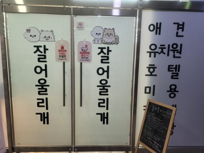 사진 2