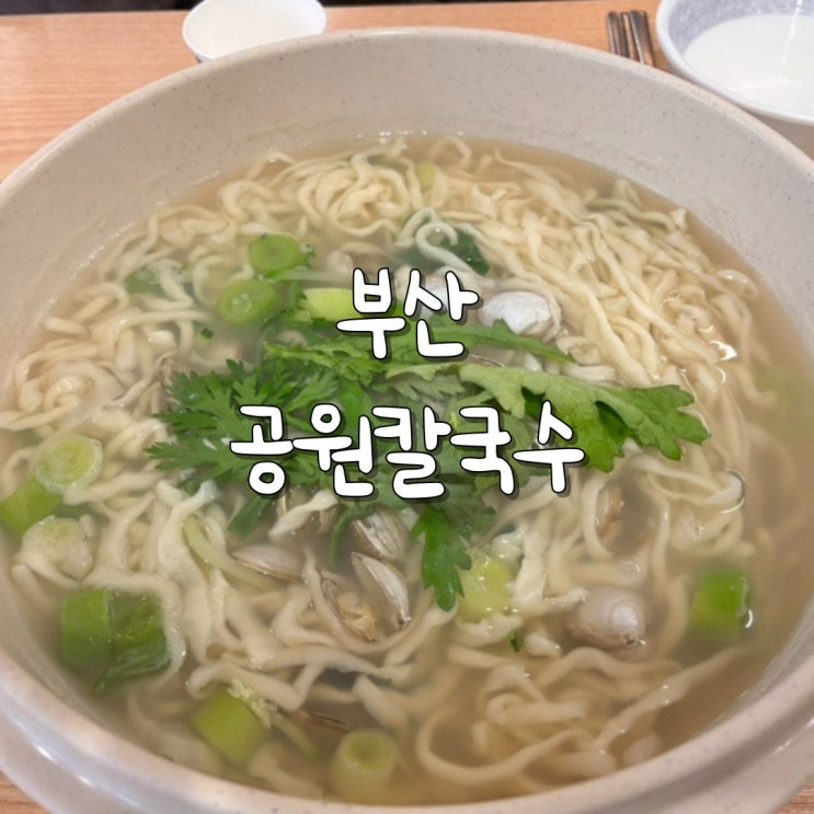  공원칼국수 조개 듬뿍 들어간 칼국수 맛집, 부산