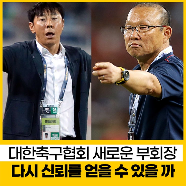 대한<b>축구협회</b> 부회장으로 합류했다. '전 인도네시아 베트남... 