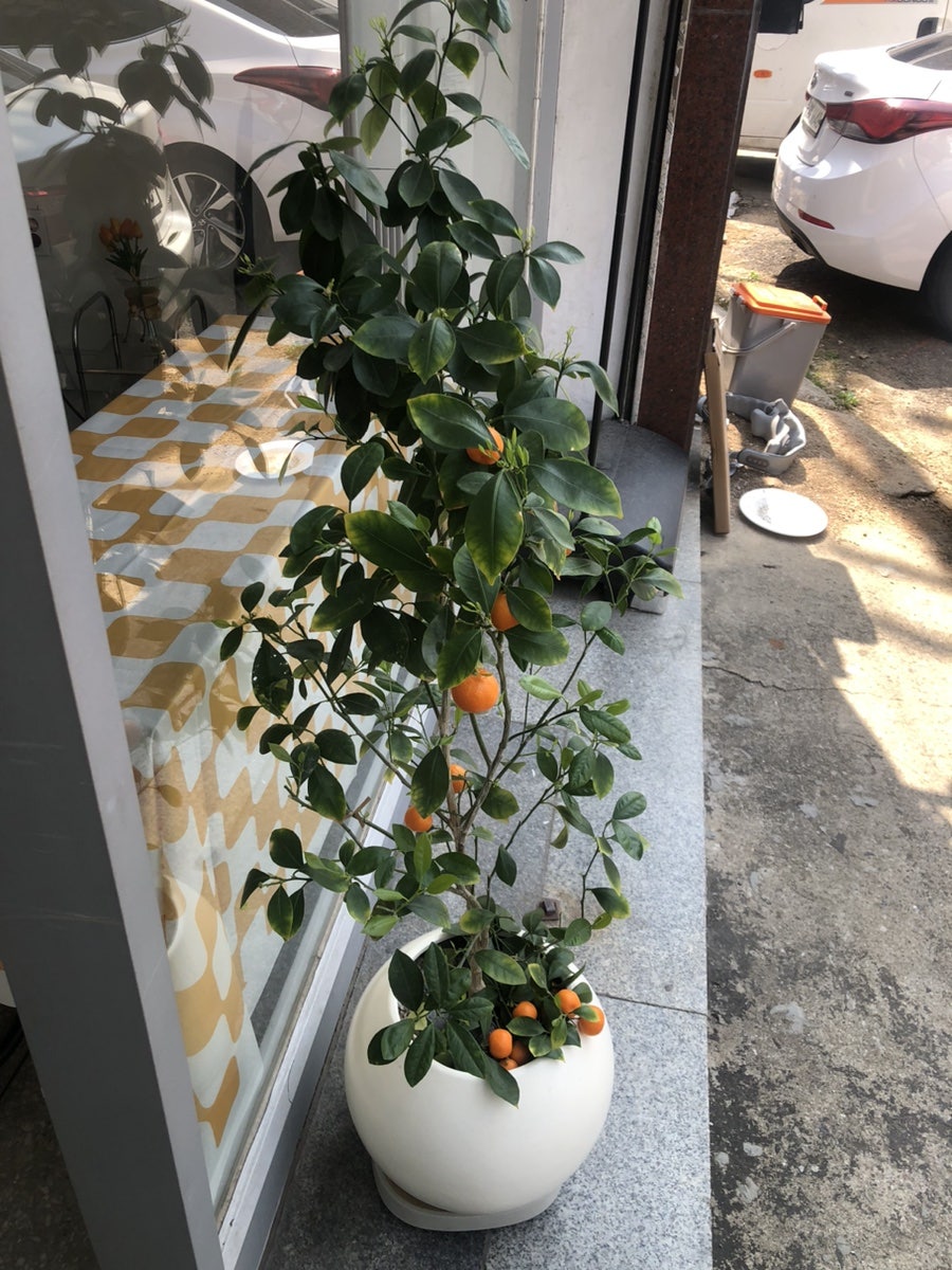 채채다방 사진 3