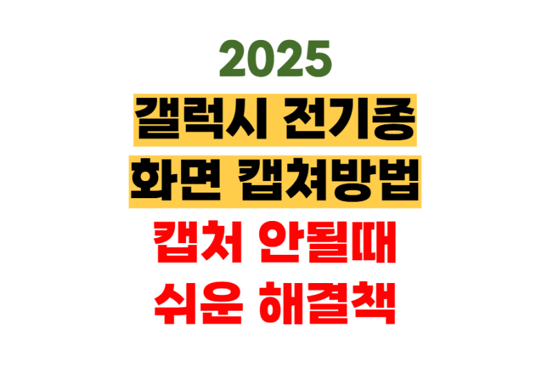 갤럭시 S22·S23·S24 화면 캡쳐방법,캡처 안될 때 간단하게
