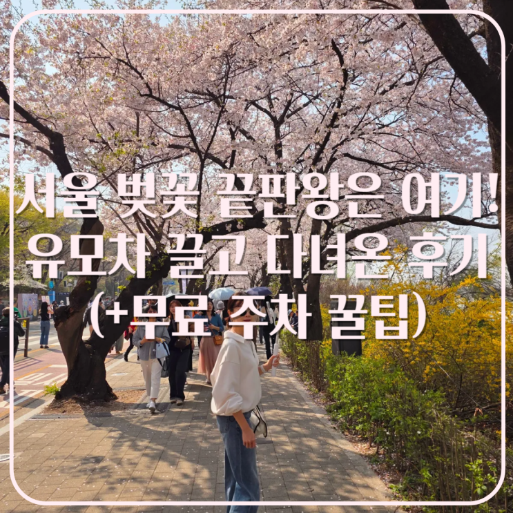  2025 여의도 윤중로 벚꽃축제 후기(feat.주차 꿀팁)