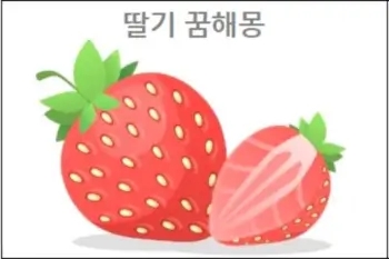  딸기꿈 해몽 딸기보는꿈 먹는꿈 딸기따는꿈 받는꿈 사는꿈 참고하세요