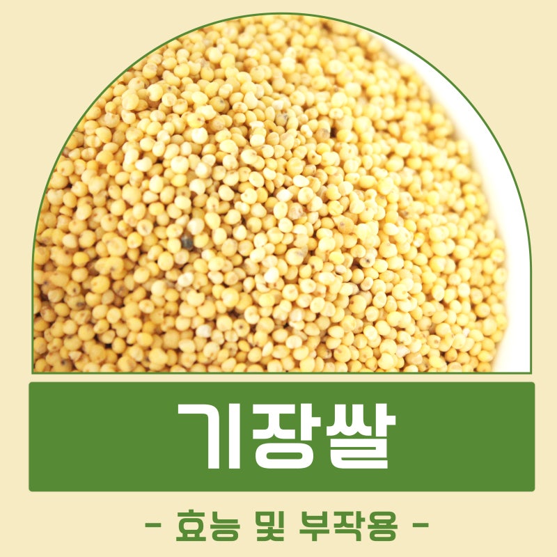 기장쌀 효능 부작용 영양성분 칼로리 보관법