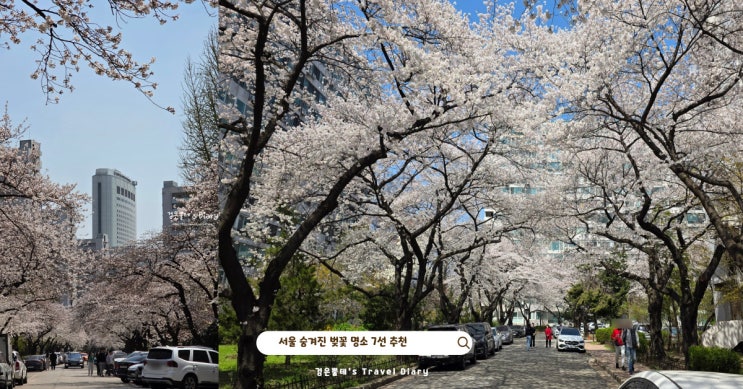  지금 국내 여행지 가볼만한곳 4월 숨겨진 서울 벚꽃 명소 7선 추천 모음 zip