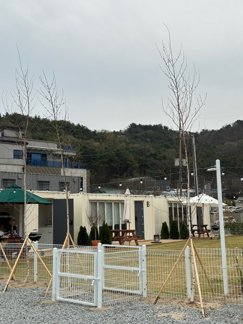 도그포레스트 바베큐