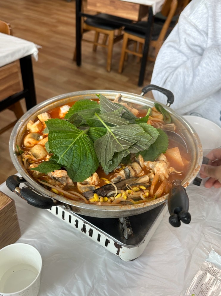  보령 여행 허영만 정지선 셰프 맛집 아나고탕 먹으러 장벌집