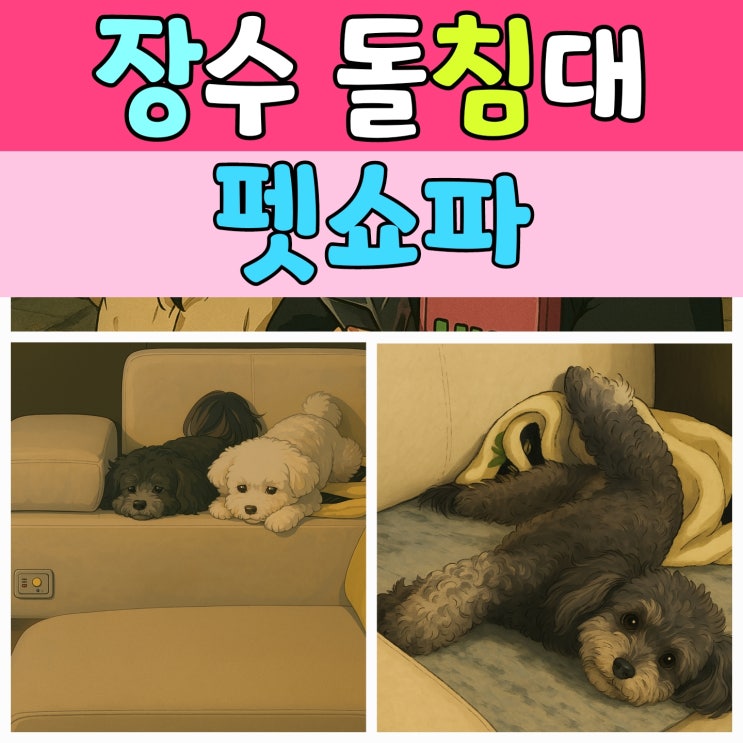  장수돌침대 샤인스톤 안젤레토 미니 이지클린 패브릭 펫소파 솔직 리뷰