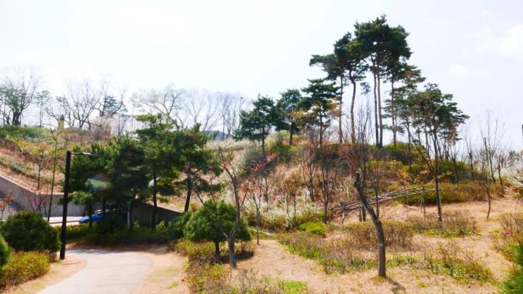 인구감소 해결을 위한 전북 <b>정읍시</b>의 노력