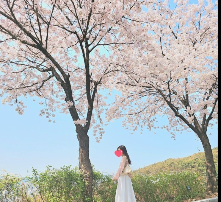  고마웠어, 내 소중한 친구에게