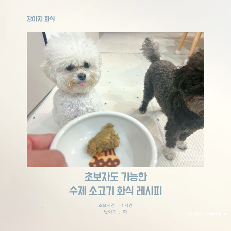  강아지 수제 소고기 화식 만들기 초보도 쉽게 만드는 건강 레시피