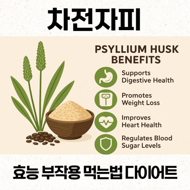  차전자피효능 부작용 먹는법 다이어트