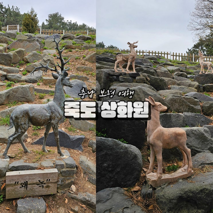  충남 보령 죽도 상화원 여행 죽도섬 가볼만한곳