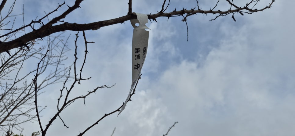 북덕산 사진 6