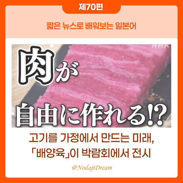  일본어 뉴스: 고기를 가정에서 만드는 미래, 「배양육」 박람회에서 전시