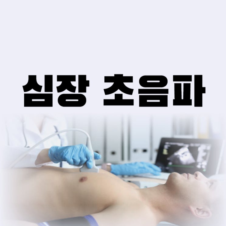  심장 초음파 검사 비용 방법 금식 시간 알 수 있는 질환들