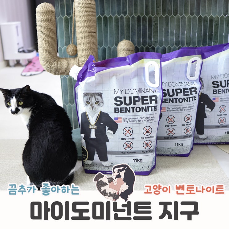  고양이 봄맞이 대청소와 함께 모래 전체갈이! 마이도미넌트 지구 후기