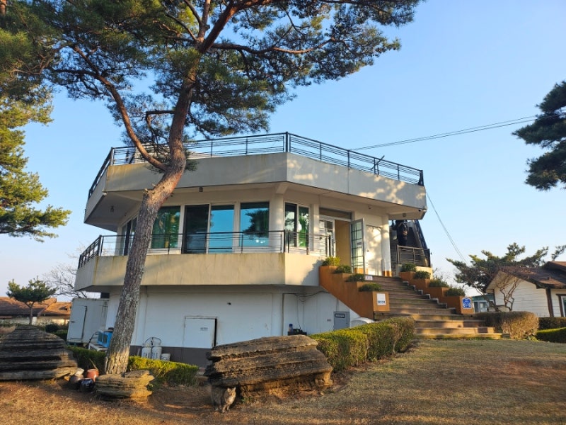 태안 가성비 단체펜션 '바다와솔숲' 오션뷰 수영장 솔숲A 숙박후기