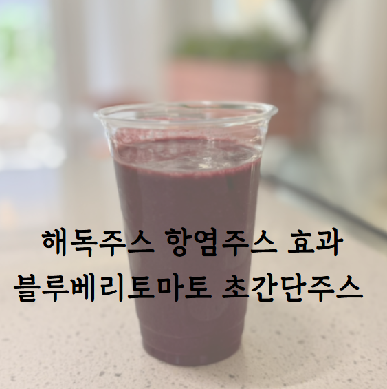 해독주스 만드는법 블루베리토마토 항염주스 효능 초간단만드는법 섭취시간