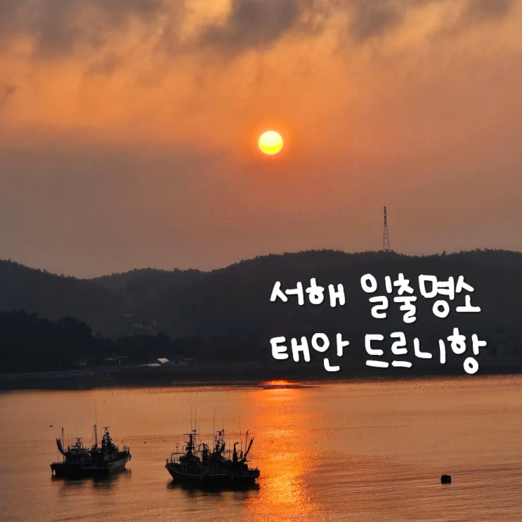 서해 일출명소 태안 드르니항 충남 여행지 가볼만한곳 서해 일출명소 태안 드르니항 충남 여행지 가볼만한곳
