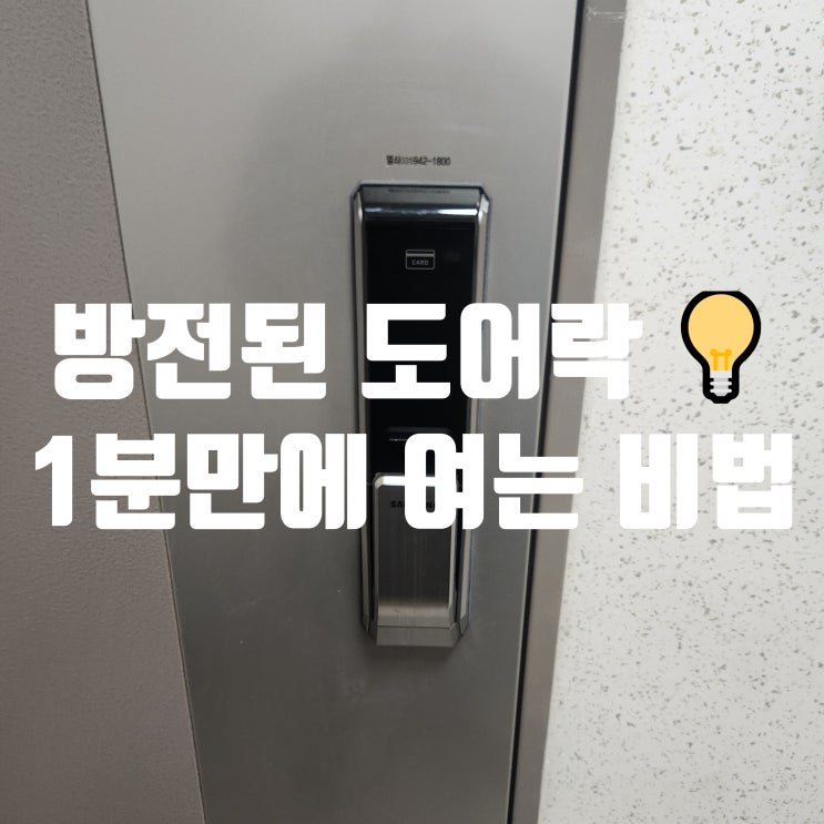  도어락 배터리 방전 여는법! 비상 건전지 사용법 고양시 성사동열쇠
