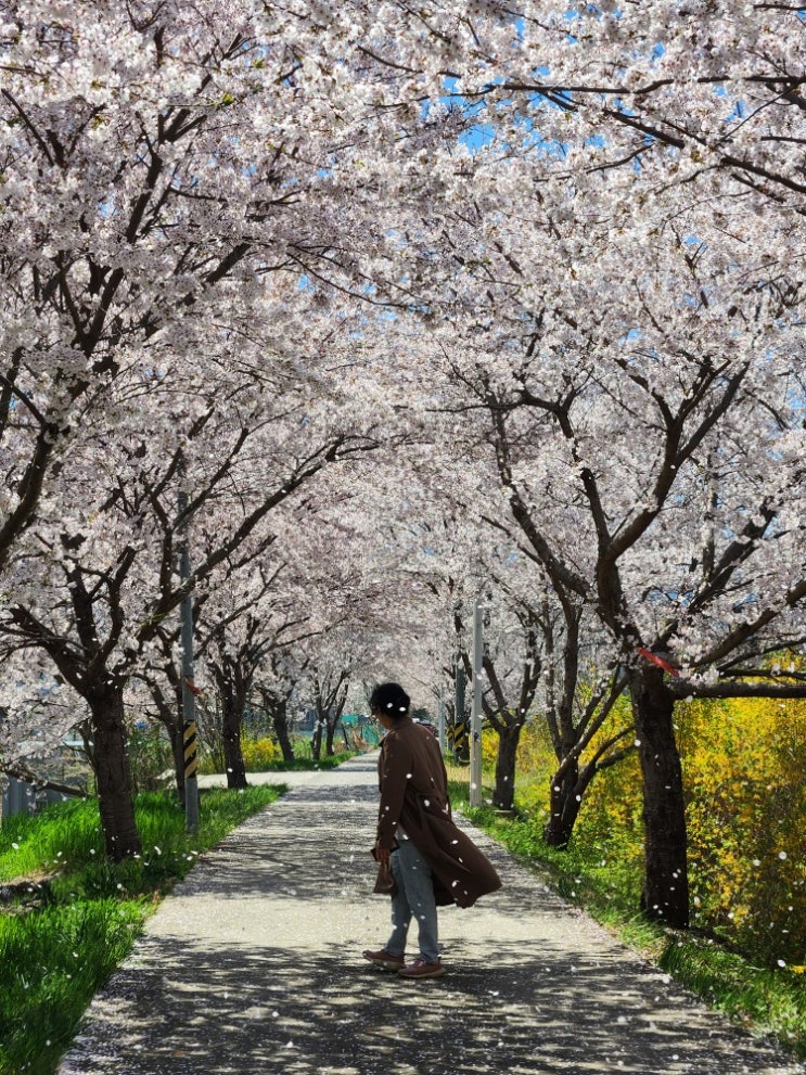  지브리 스타일 조금은 다른 시각 F.창작자들의 저작권에 대해