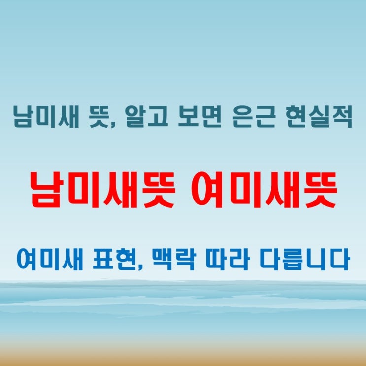  남미새뜻 여미새뜻 처음 들었다면 이 글 참고하세요